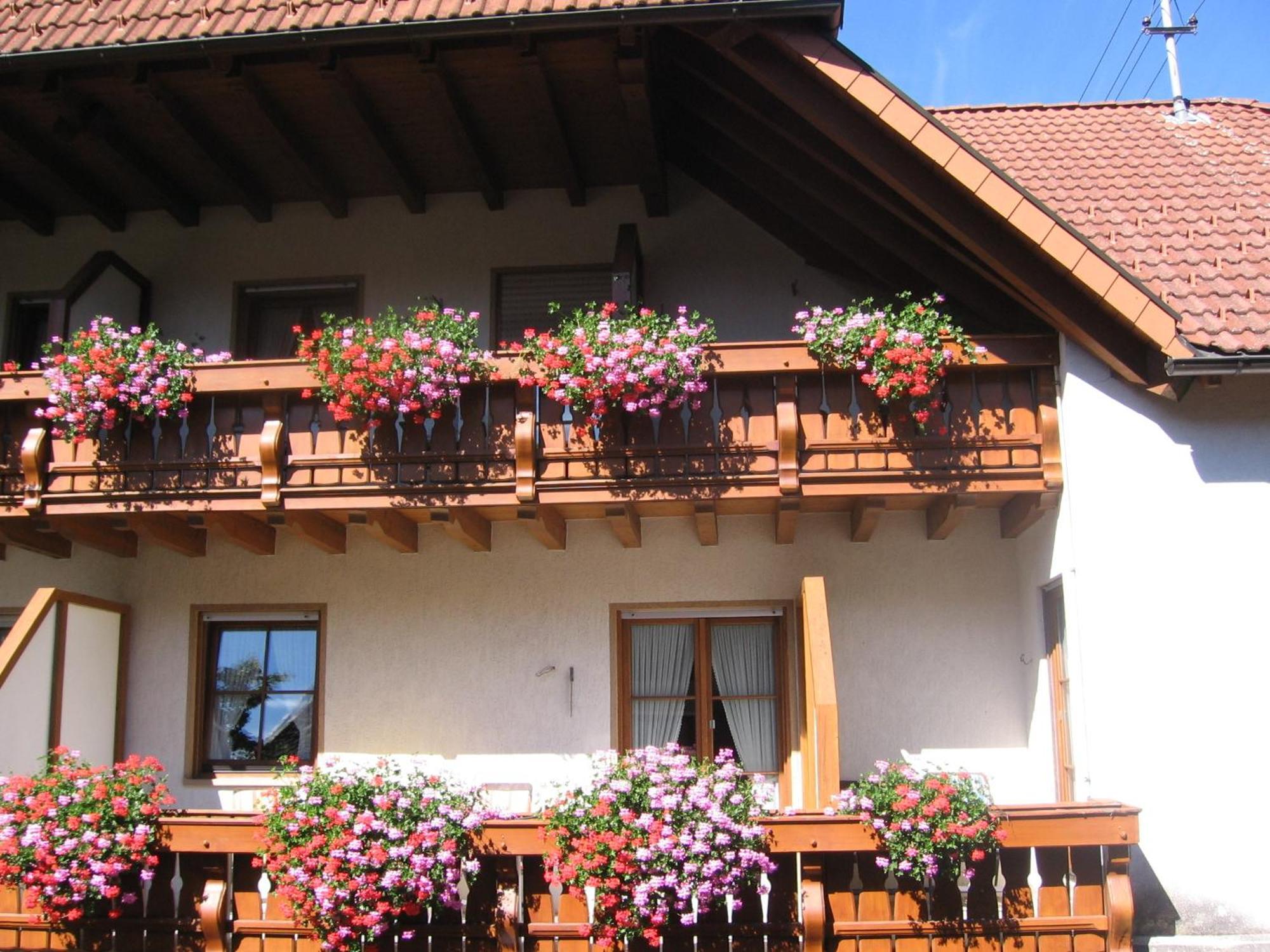 Hotel Gasthaus Zum Hirschen Simonswald Exteriér fotografie